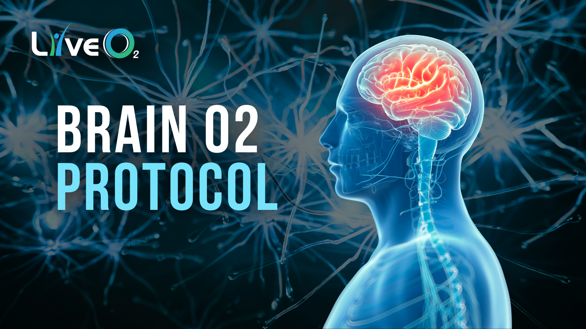 Blue Tosca Modern Bold Training & Development Presentation (6)